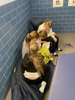 - vergrößerte Darstellung öffnen