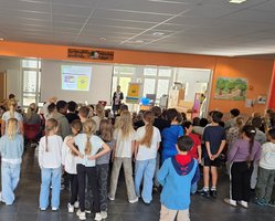 - vergrößerte Darstellung öffnen