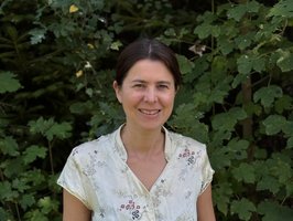  - vergrößerte Darstellung öffnen