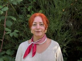  - vergrößerte Darstellung öffnen